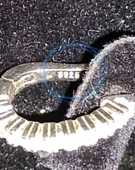 BRAND NEW 925 Silver and Moissanite earrings