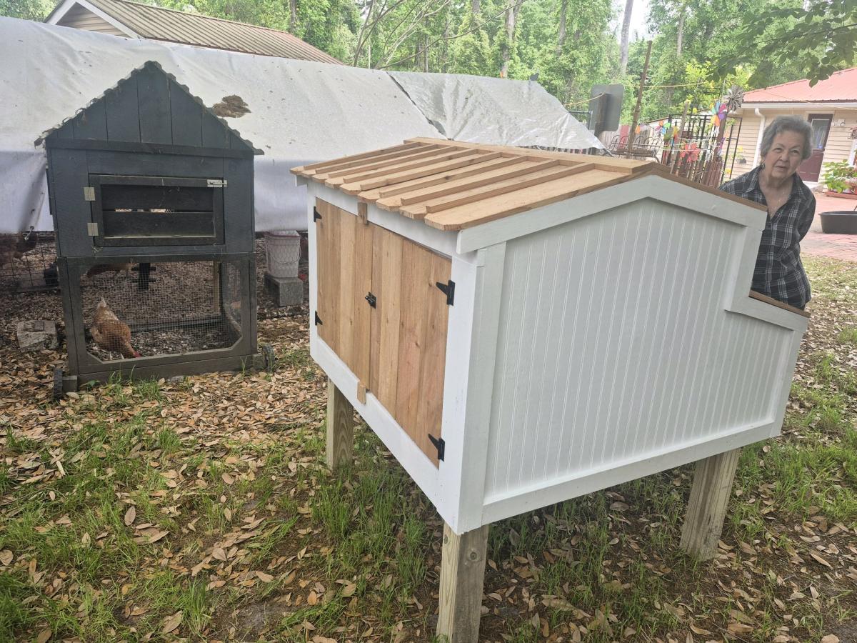 4x4x3 chicken coop