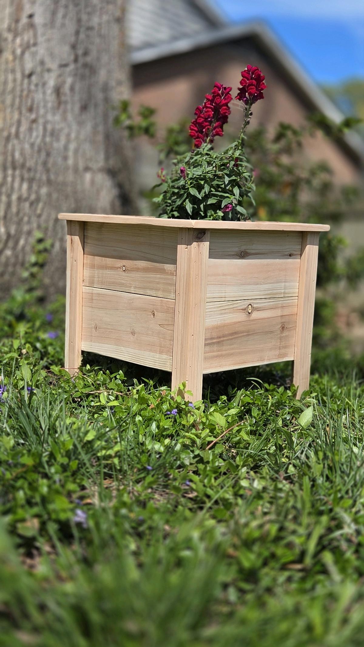 Cedar planters