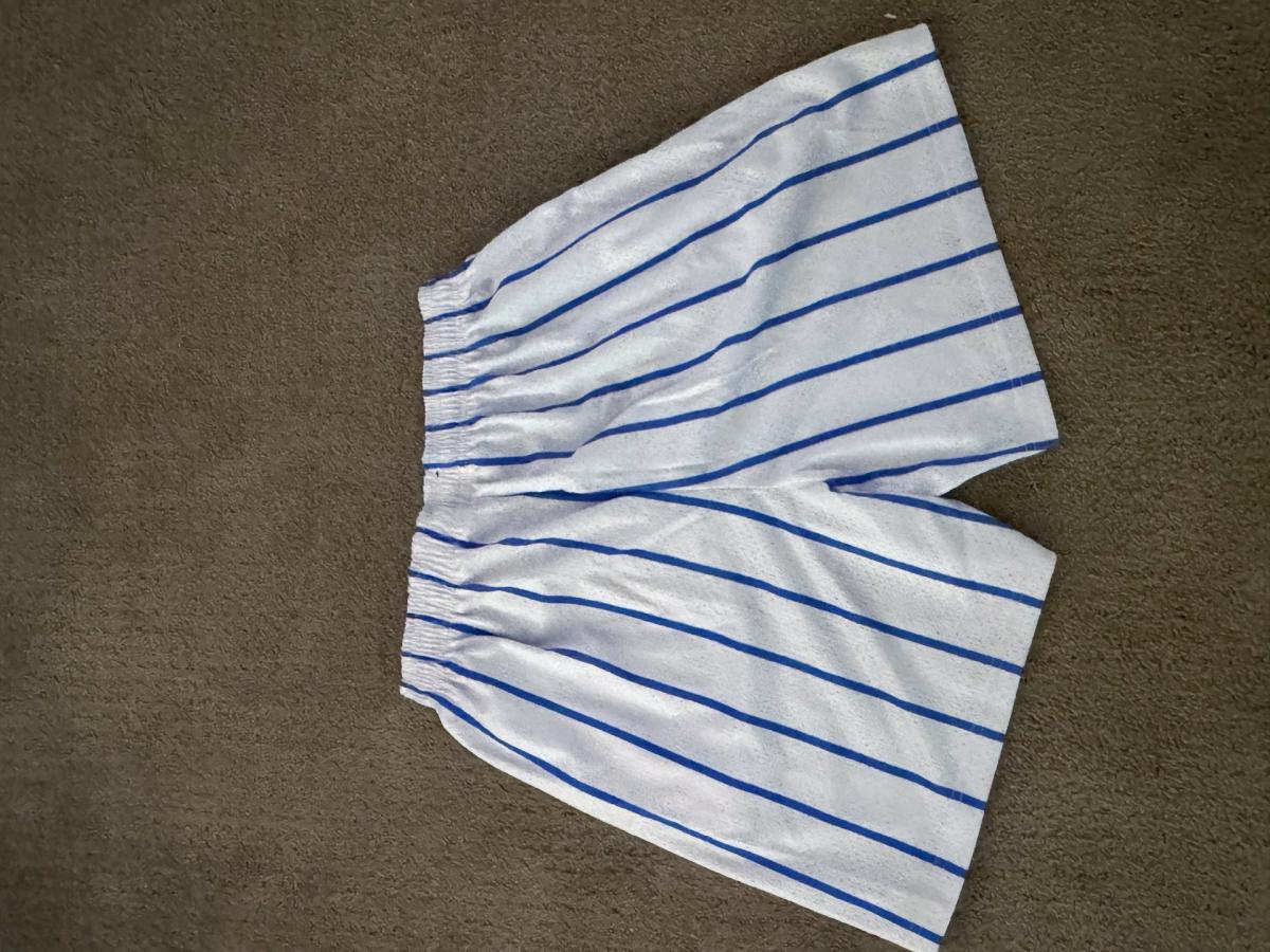 Los Angeles Dodgers Mesh Shorts