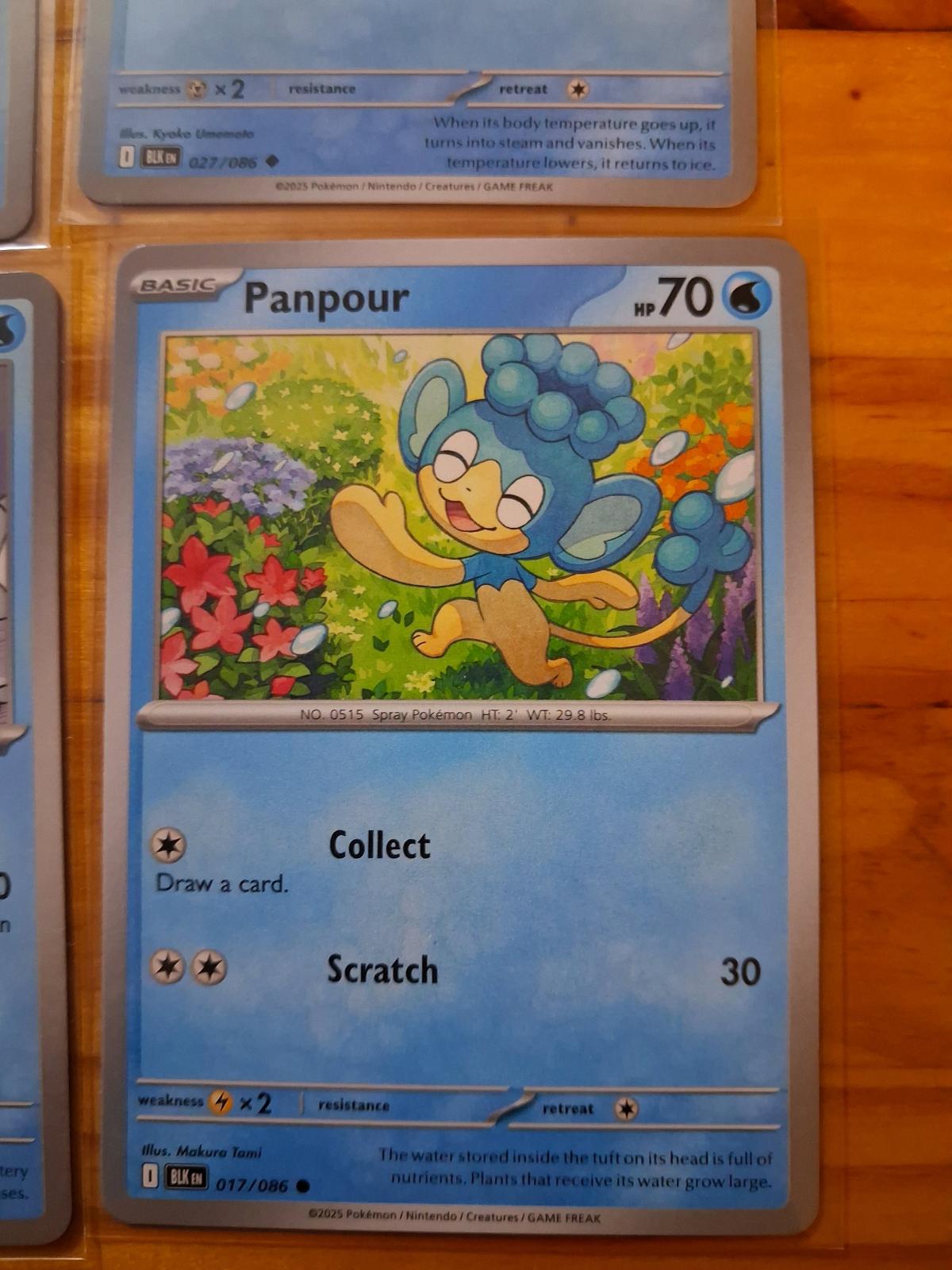 Pokmon Cards 3