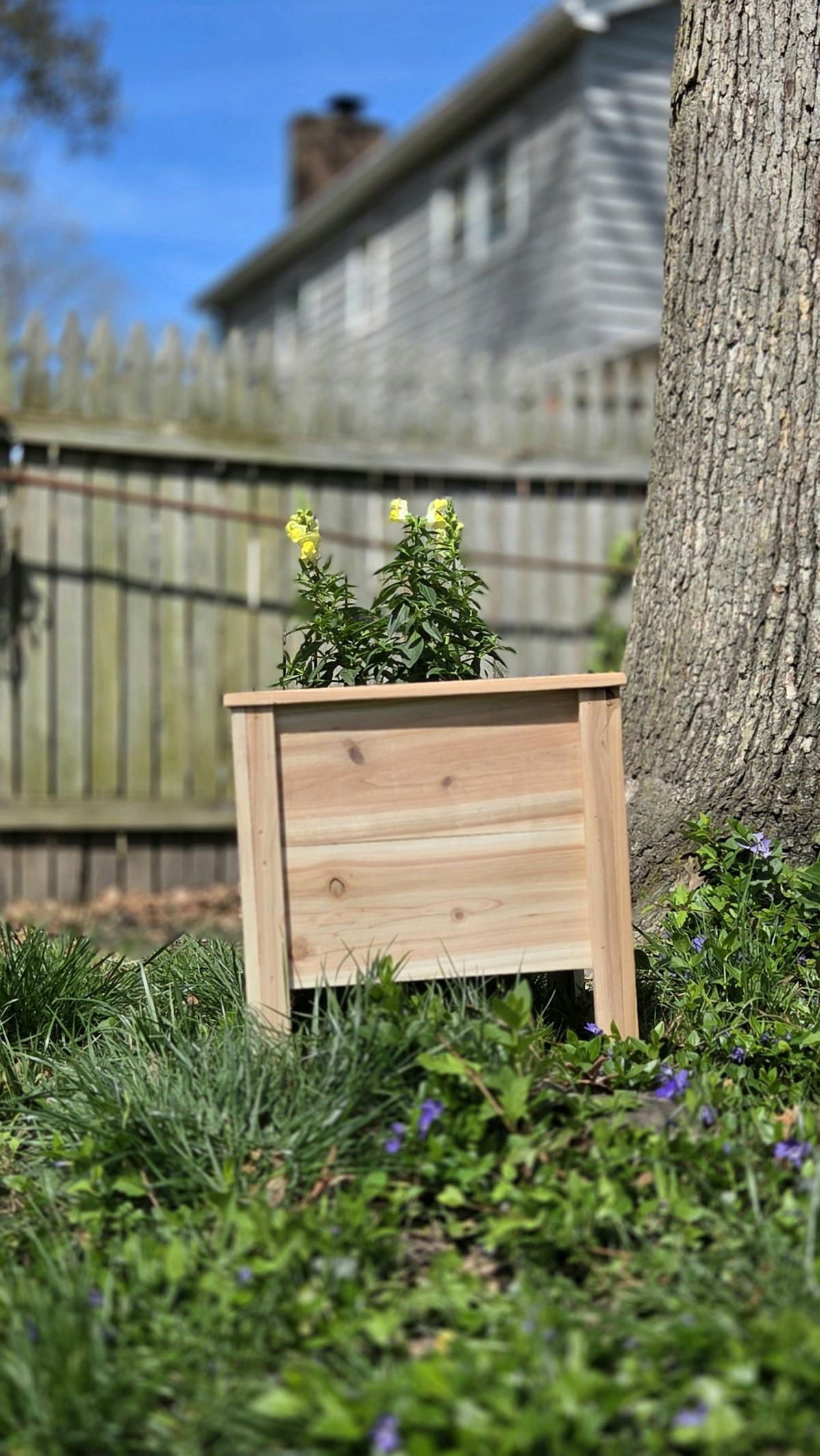 Cedar planters