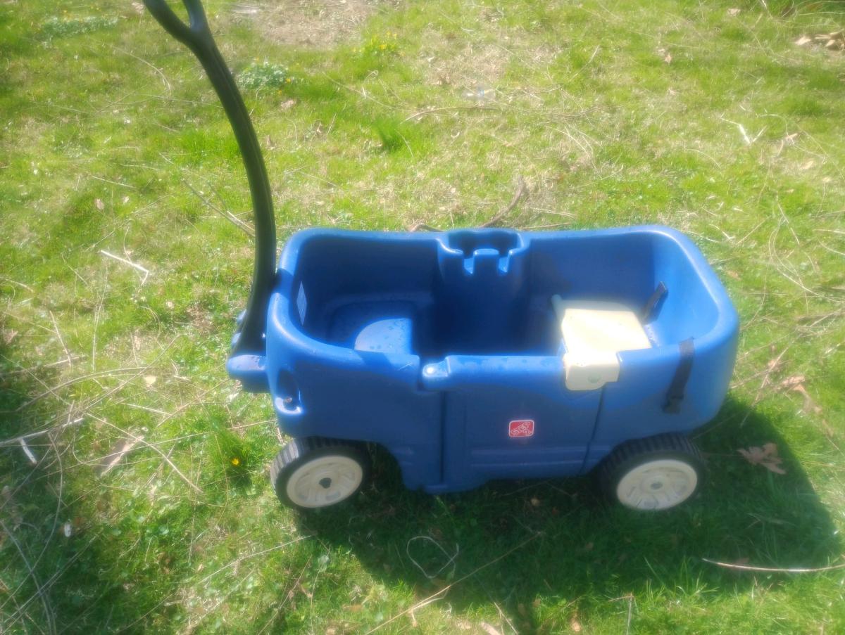 wagon