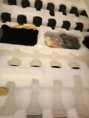 95 Piece 3 1 Game Set