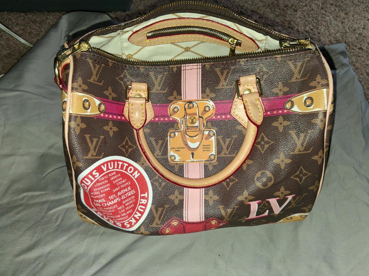 Loius Vuitton Purse
