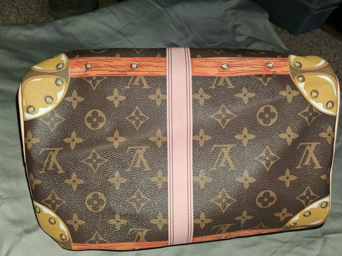 Loius Vuitton Purse