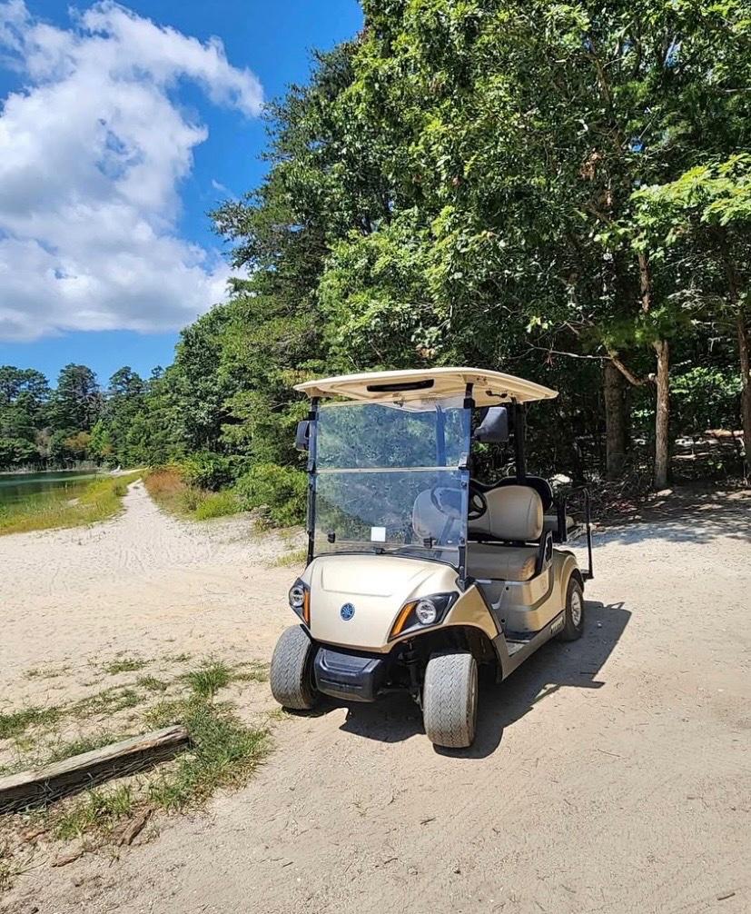 2019 YAHAMA DRIVE 2  48 VOLT GOLF CART
