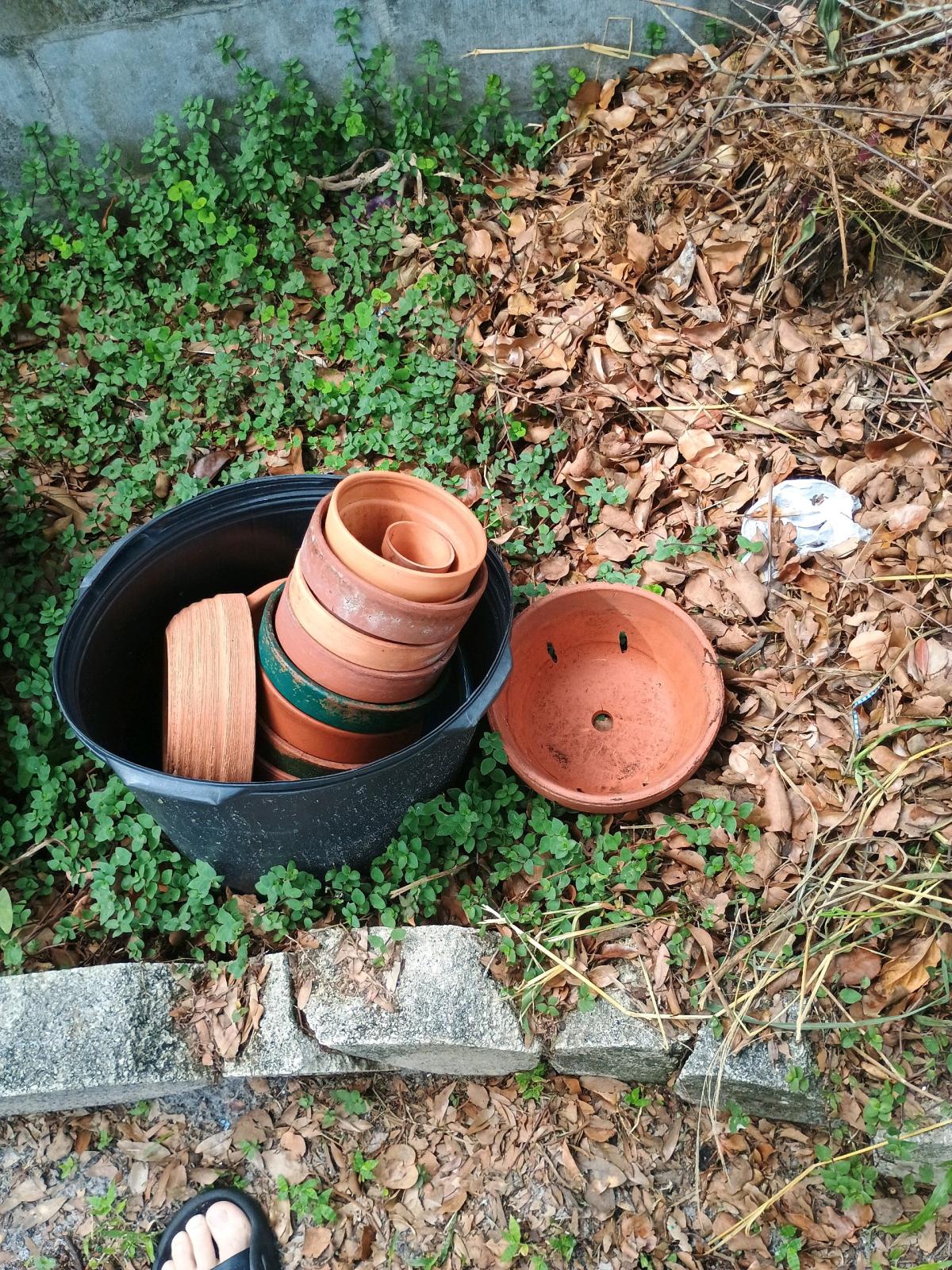 garden decor pots and iron