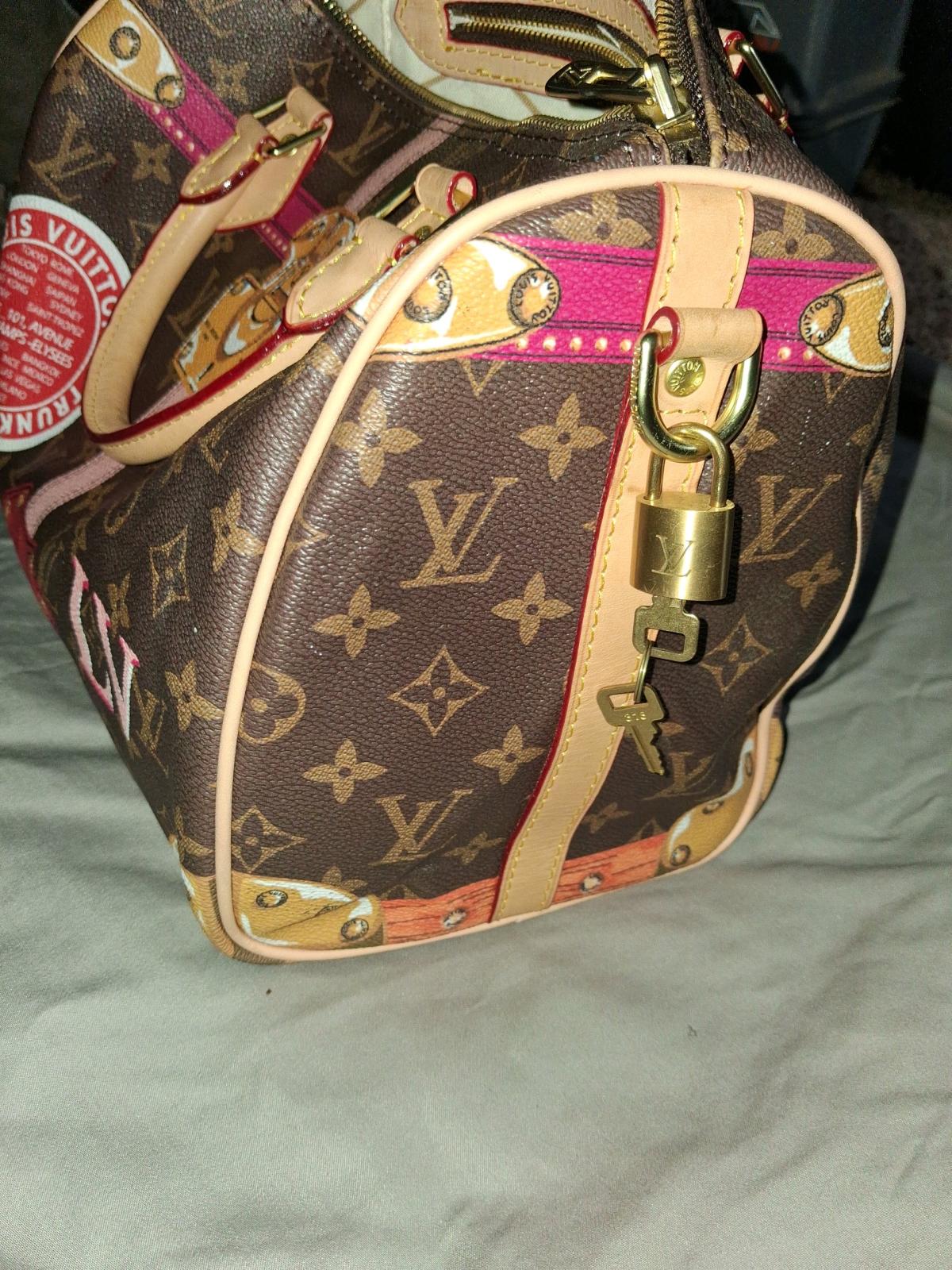 Loius Vuitton Purse