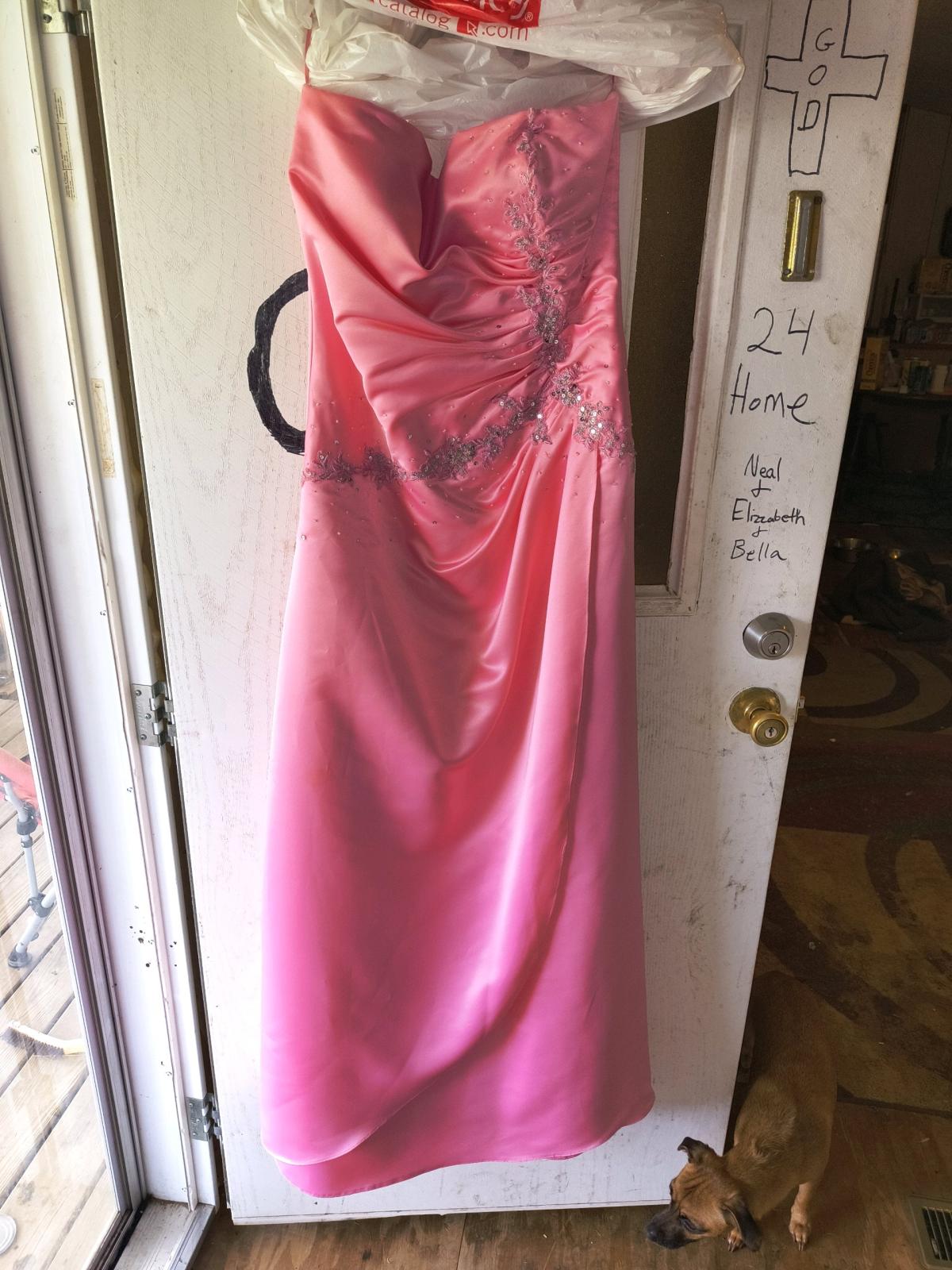 Pink Dress