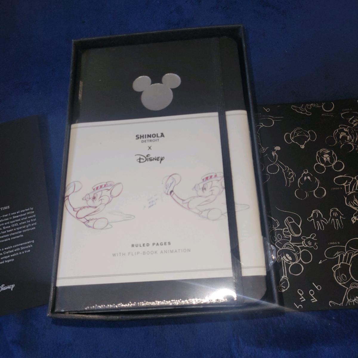Disney Limited Edition Watch Came From Disney World
