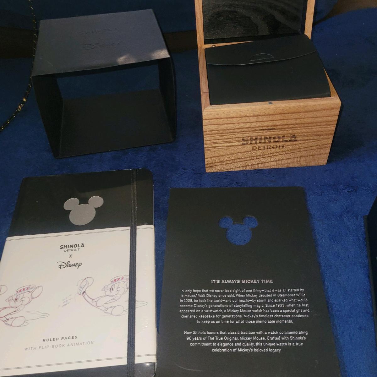 Disney Limited Edition Watch Came From Disney World