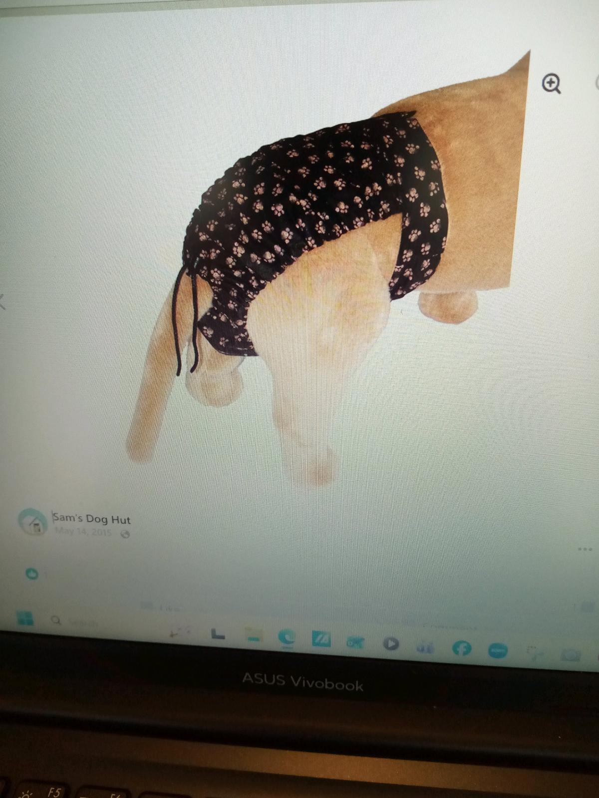 Washable Doggie Diaper Wraps