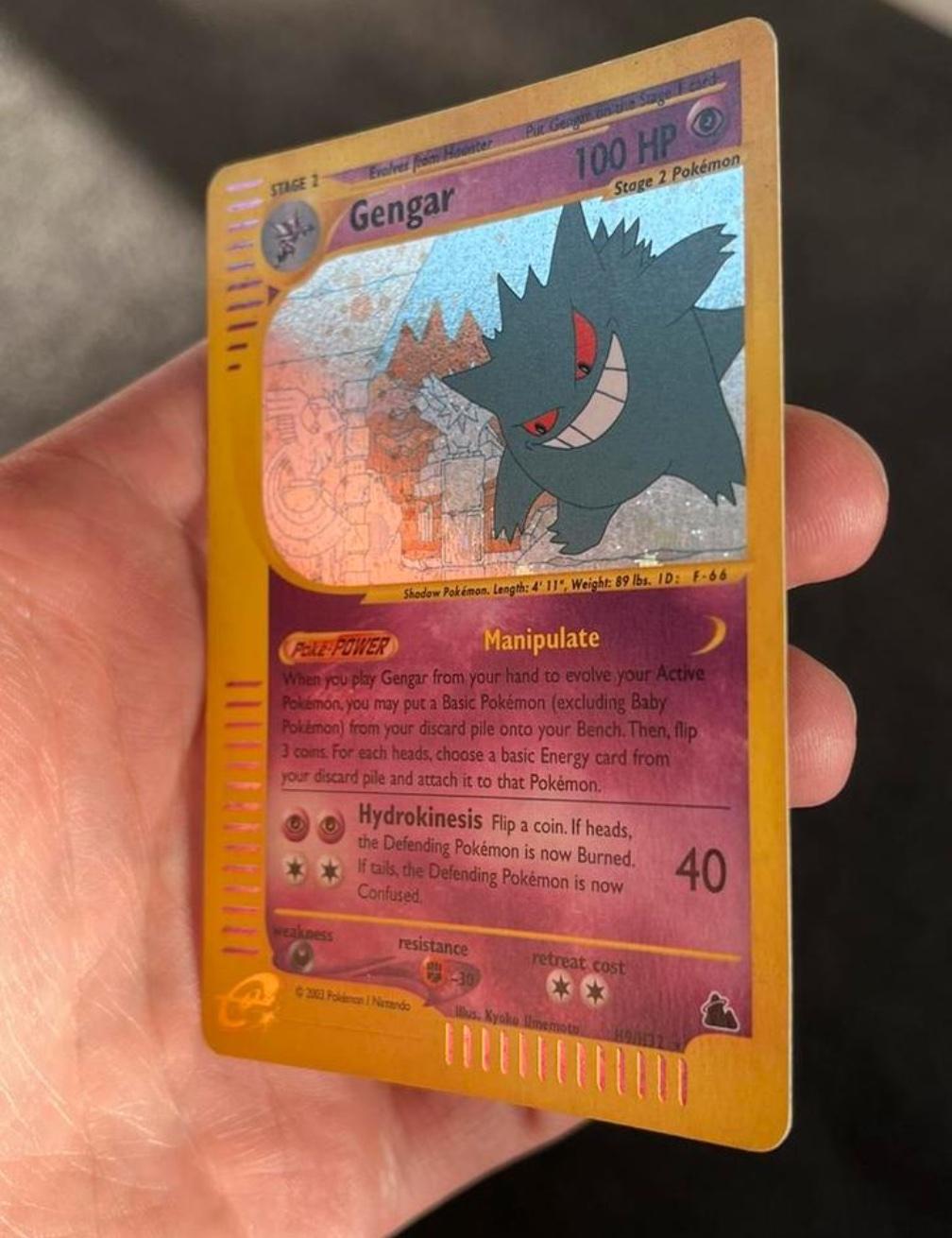 Gengar and Charizard