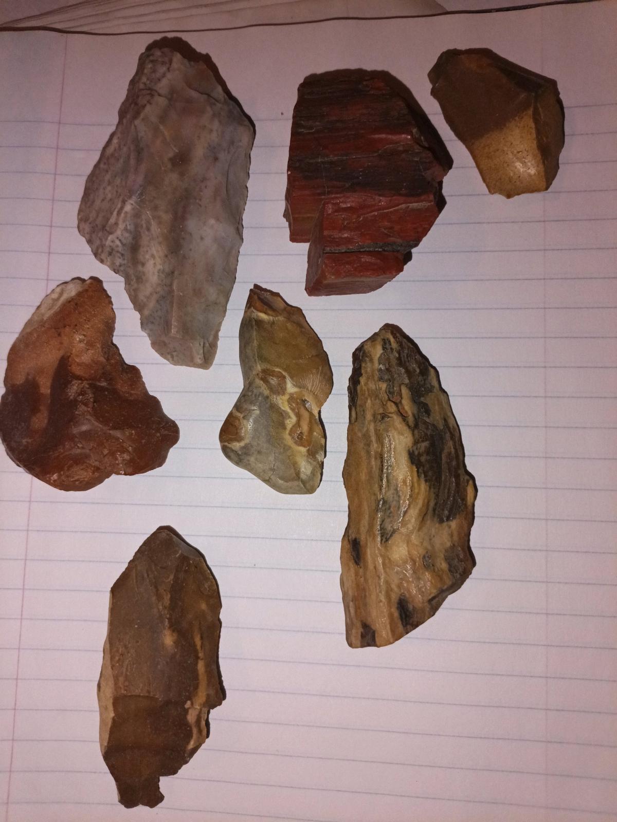 petrified wood