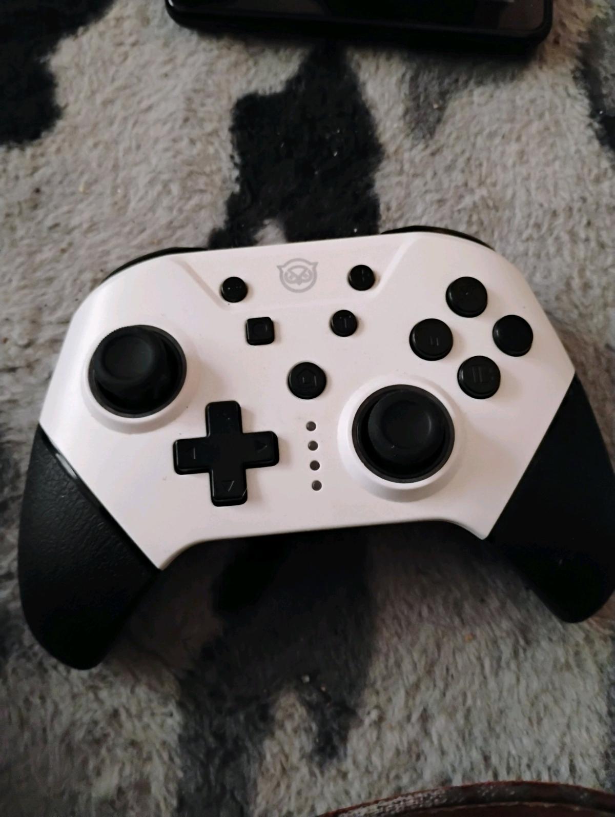 Nintendo switch pro controller