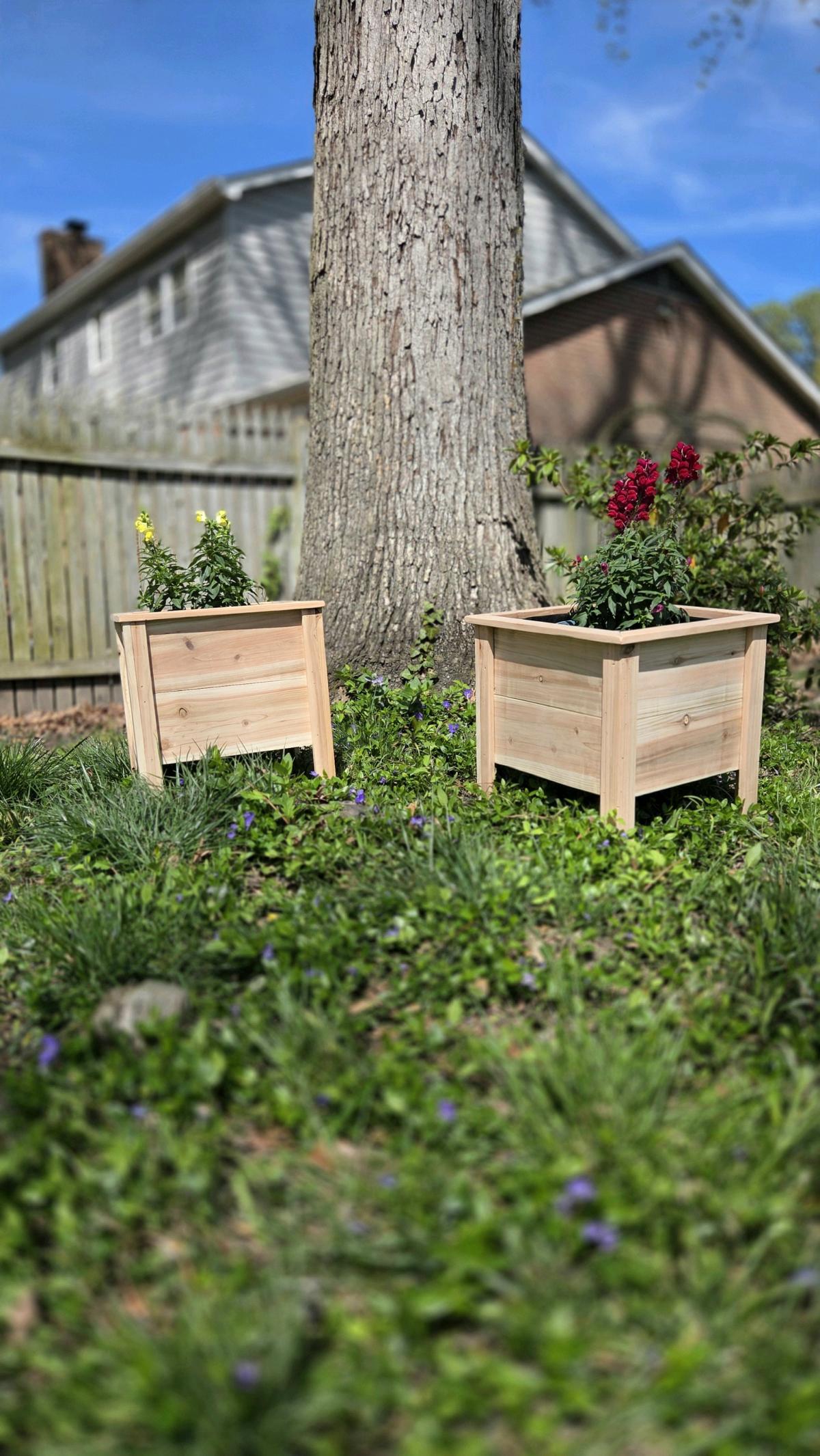 Cedar planters