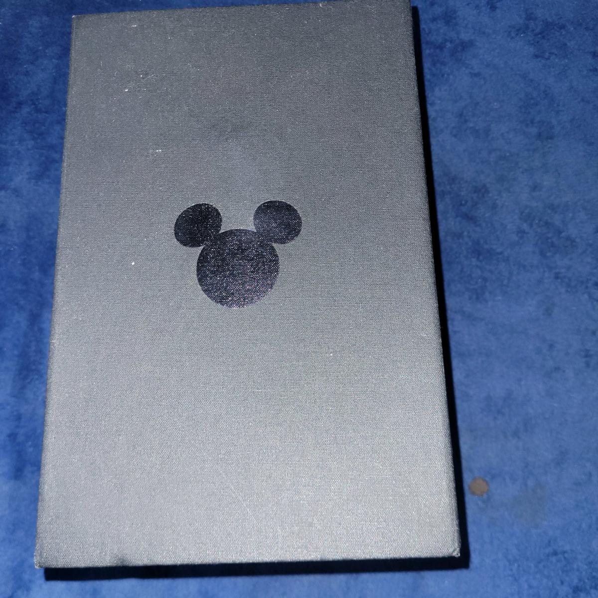 Disney Limited Edition Watch Came From Disney World