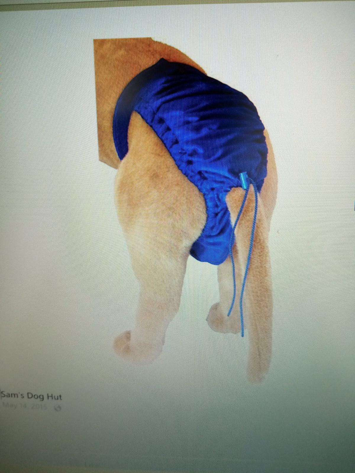 Washable Doggie Diaper Wraps