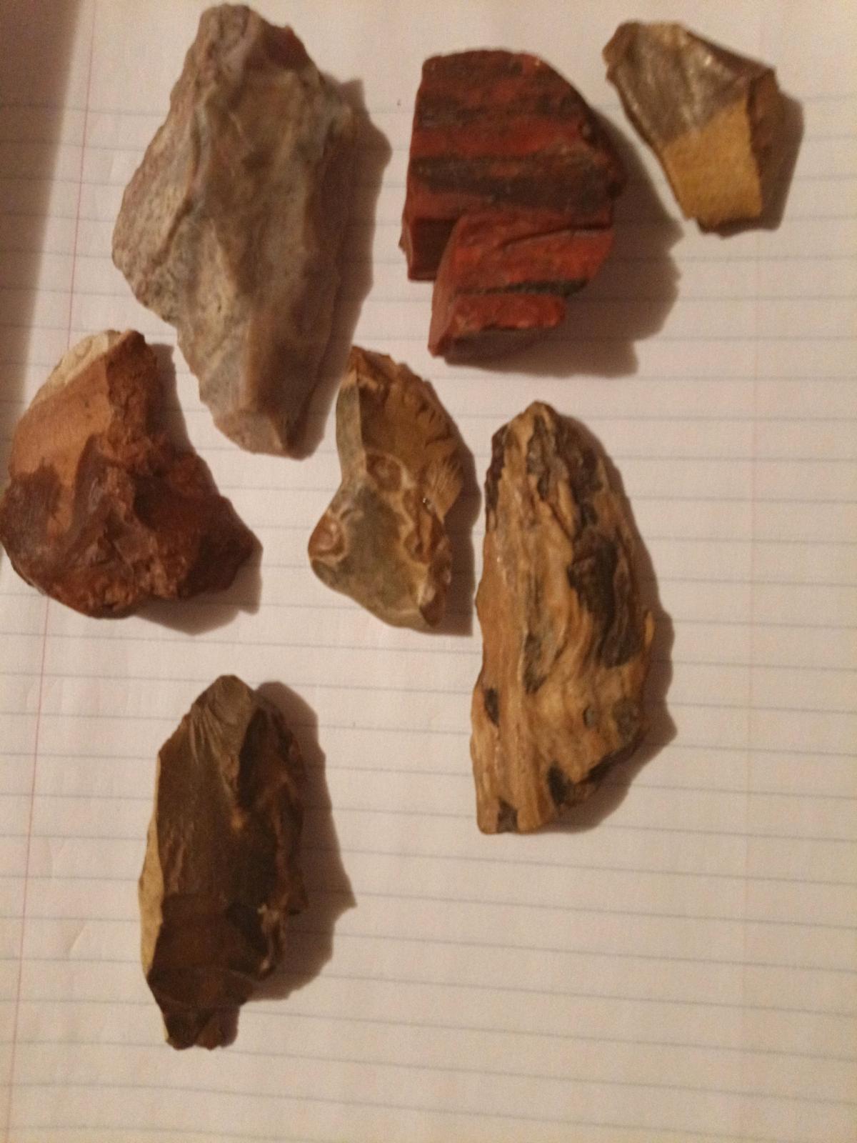 petrified wood