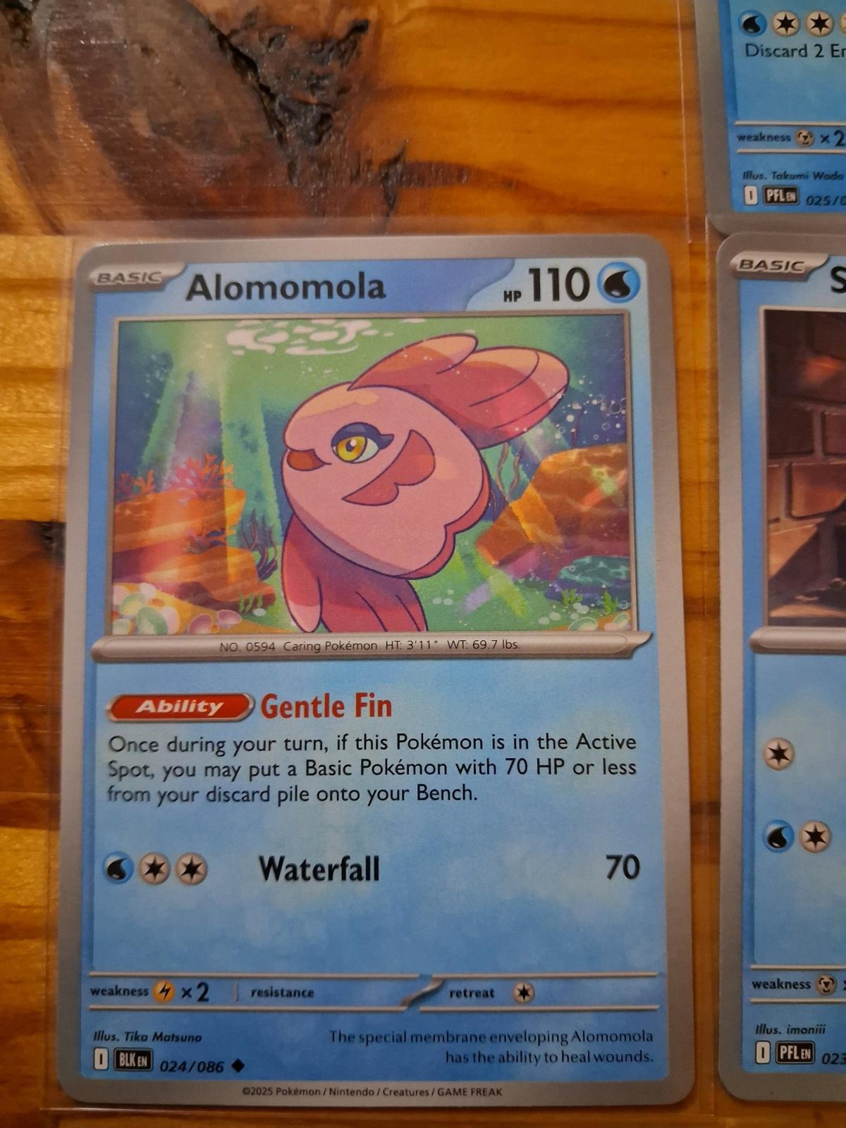 Pokmon Cards 3