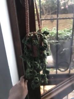 crocheted plant