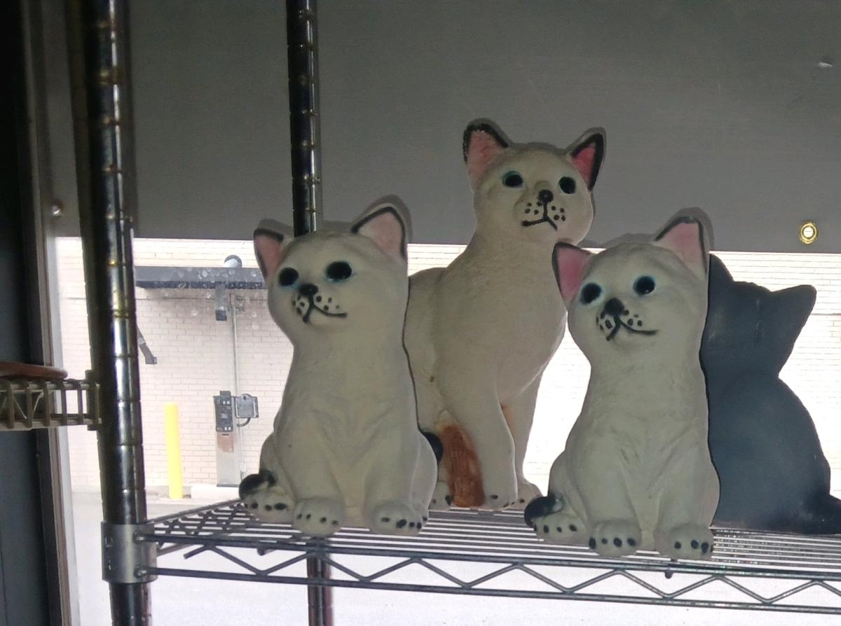 money collectors