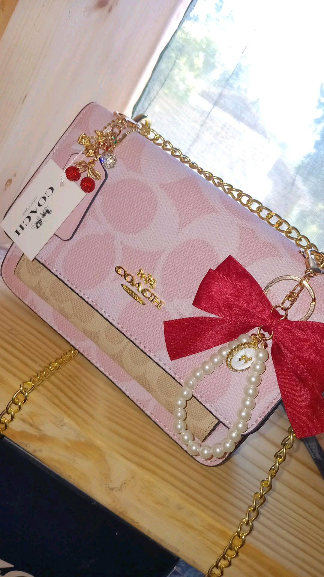 bolso coach