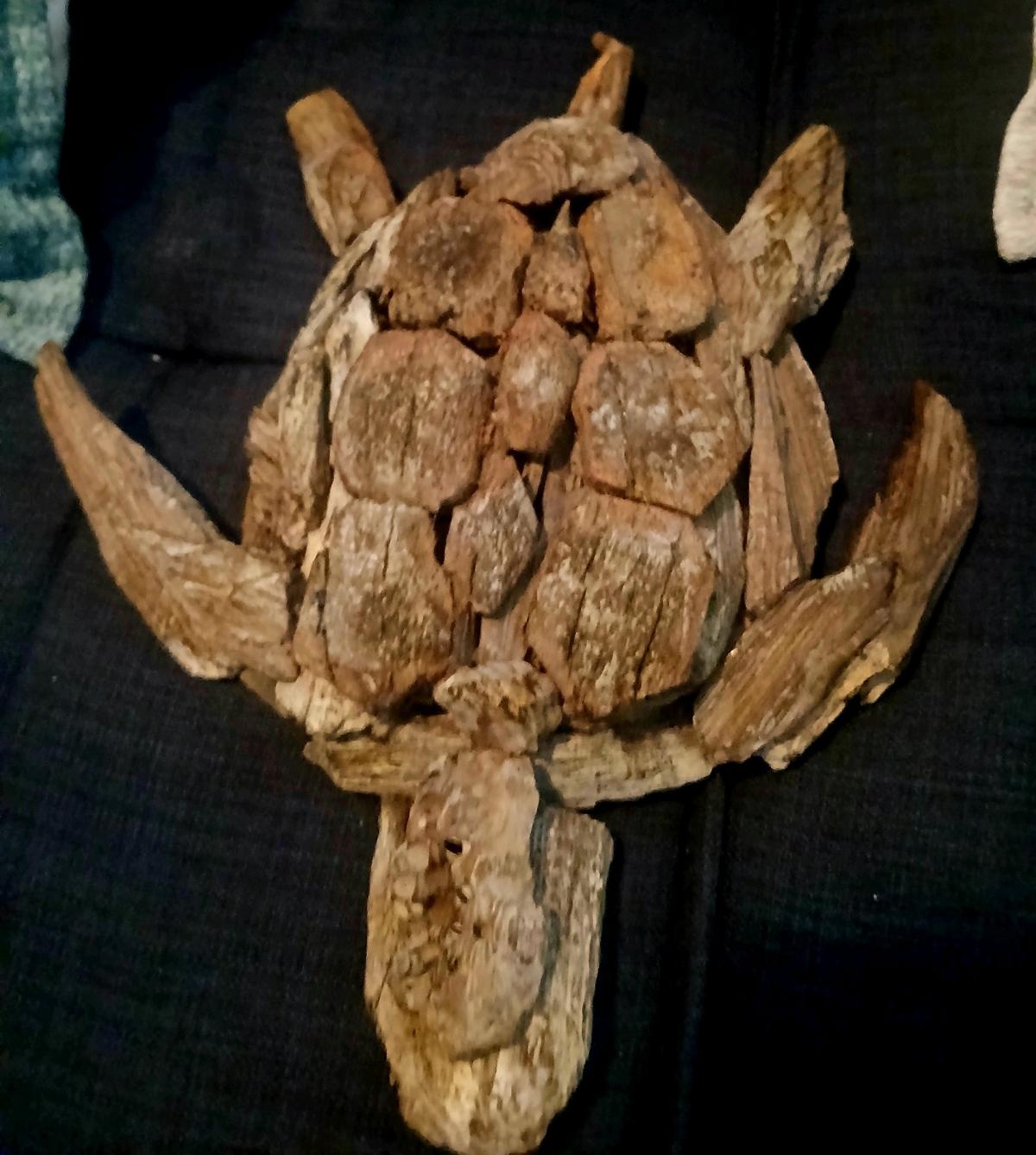 driftwood turtle