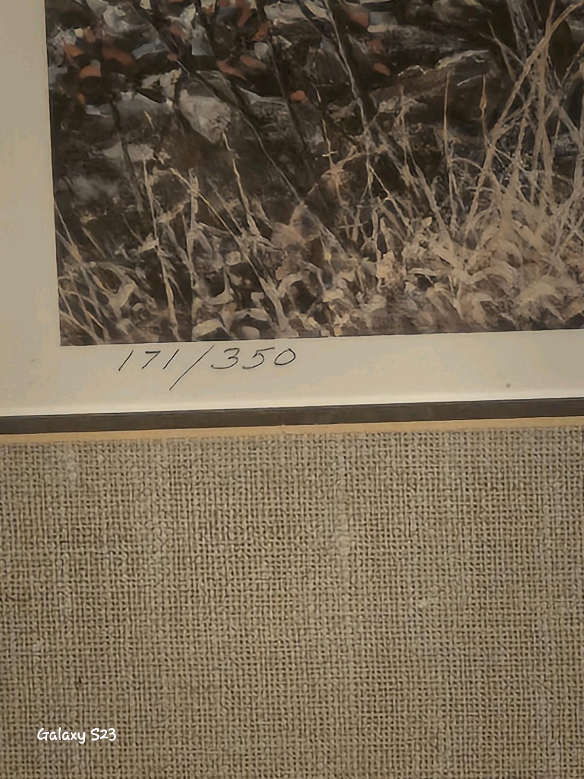 Covey of Quail near a Stone WallM Wayne Willis 19141991 your