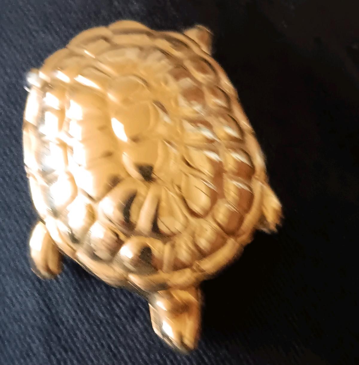 perfume turtle