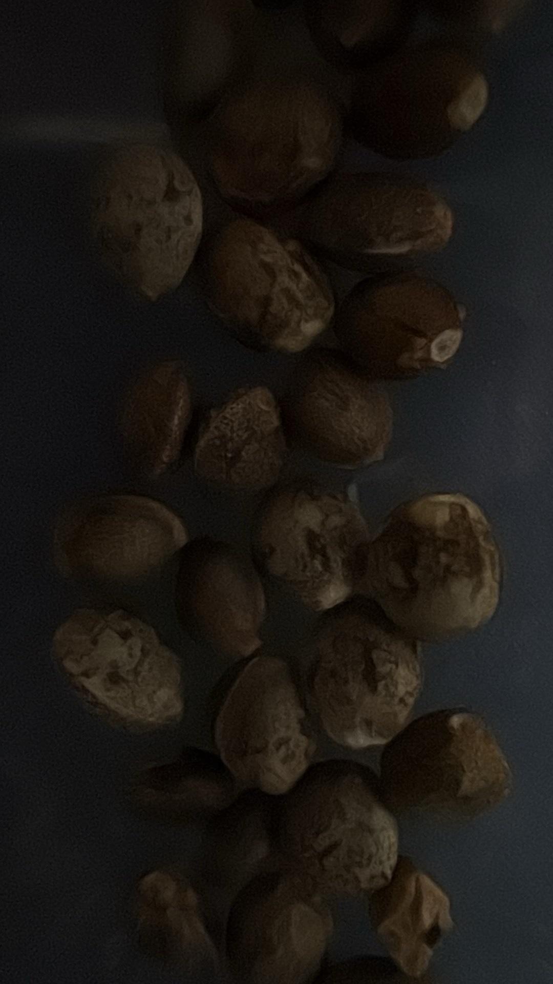 dranks and seeds hmu if you need lmk