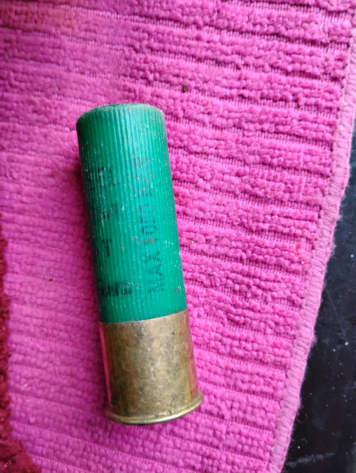 11 of These Shot Gun Shells