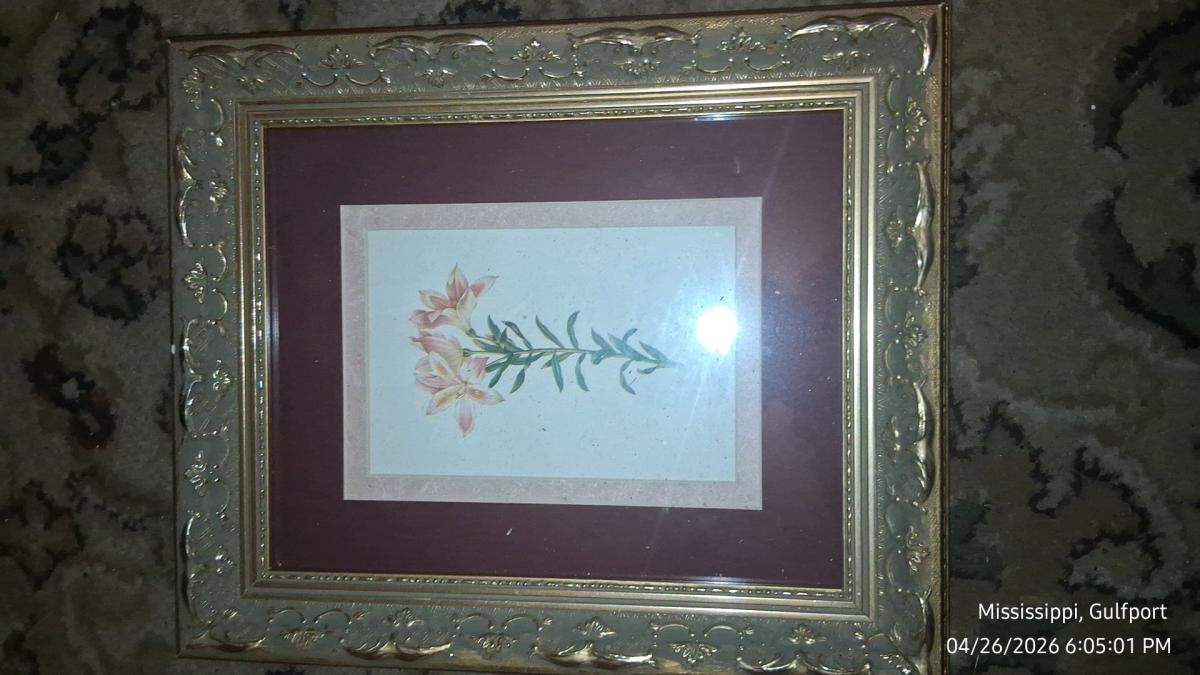 One large picture and four medium pictures in picture frames
