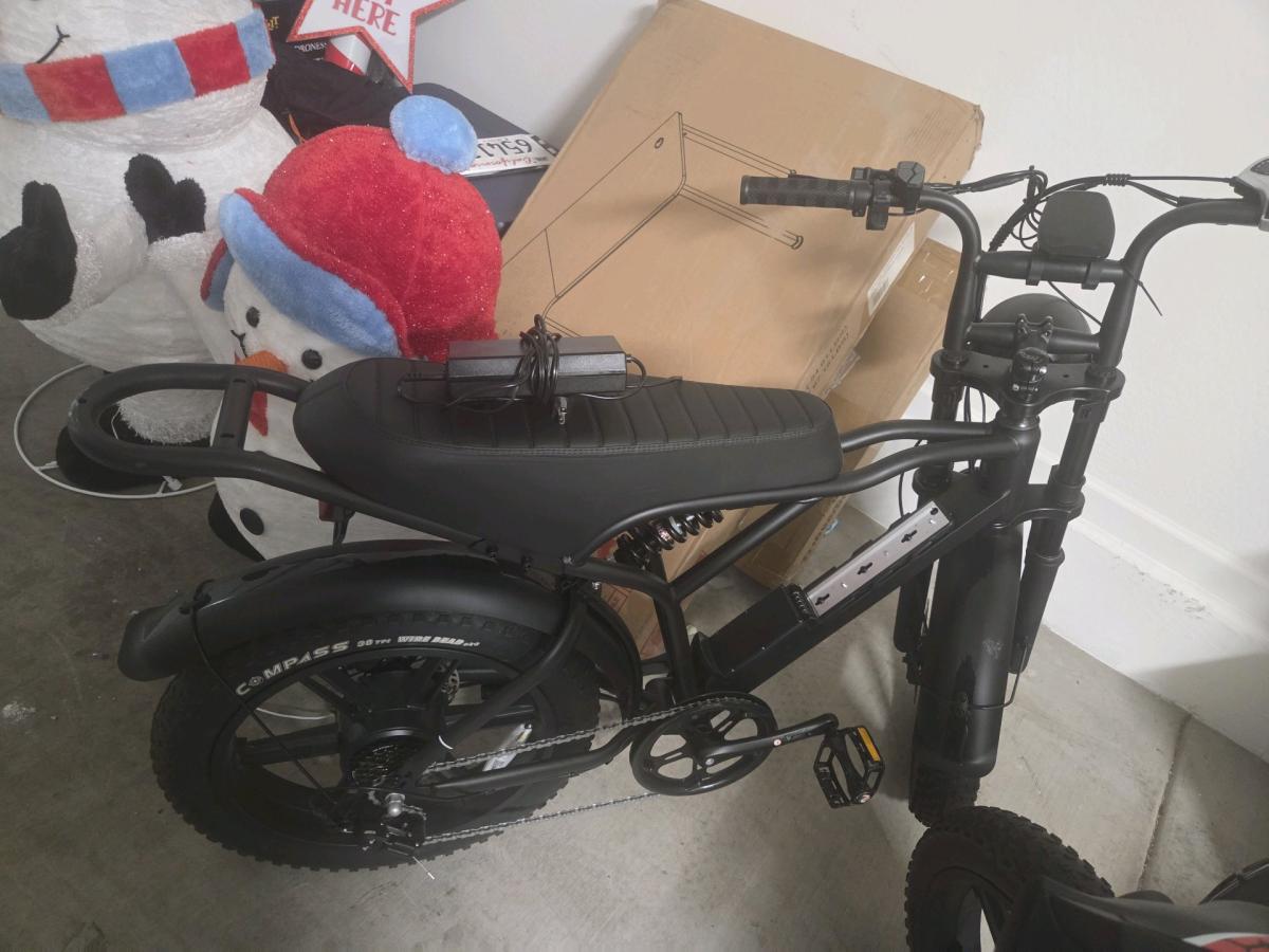 TST Electric Bike for Adult