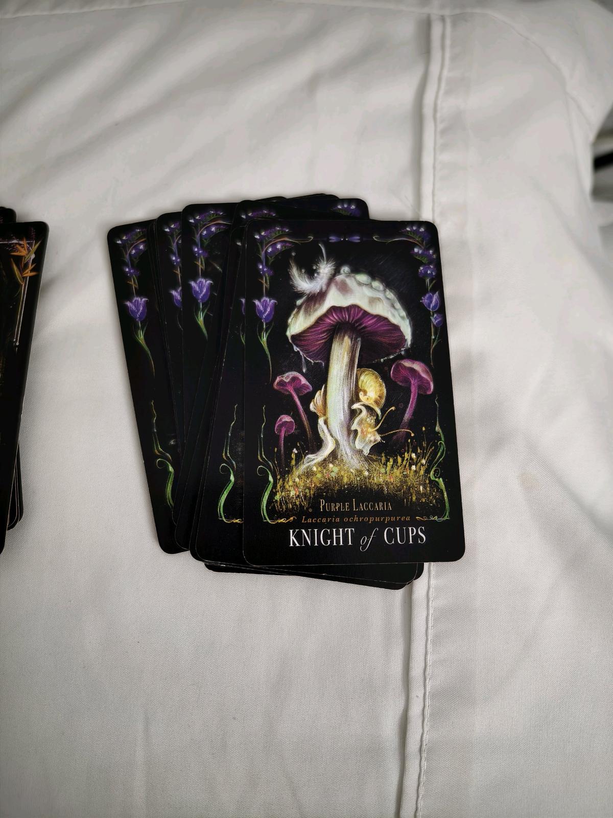 Mushroom Tarot deck by Midnight Magic