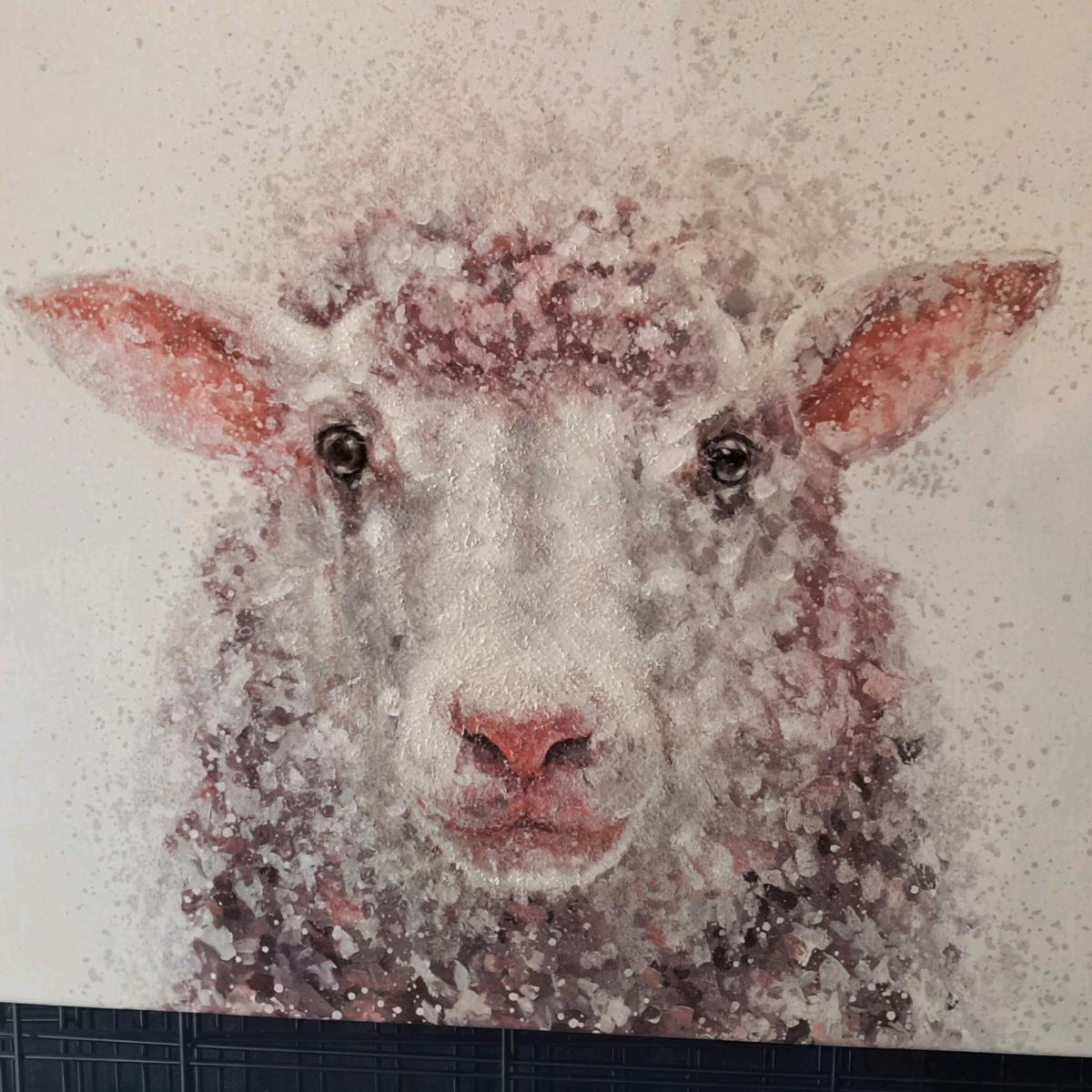 Baa baa Sheep