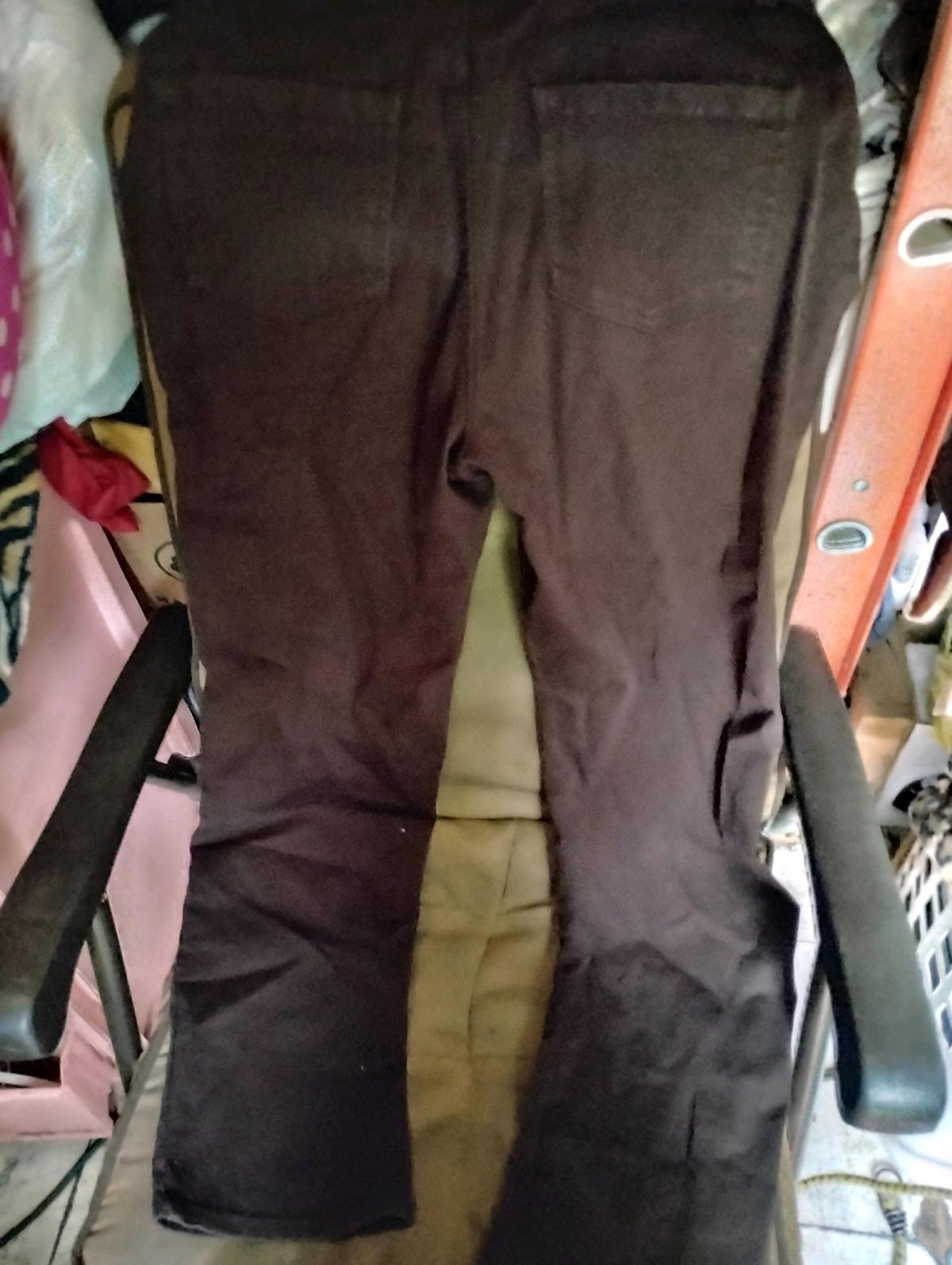 A Nice Pair of Brown Womens Pants