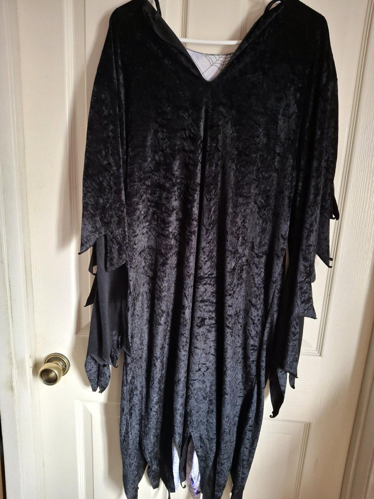 Spider Witch Costume