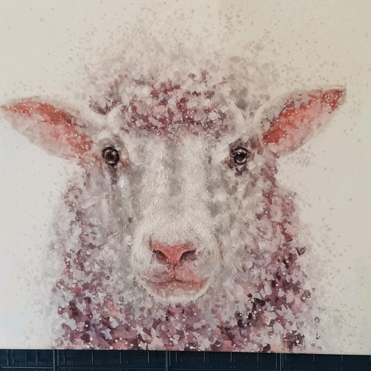 Baa baa Sheep