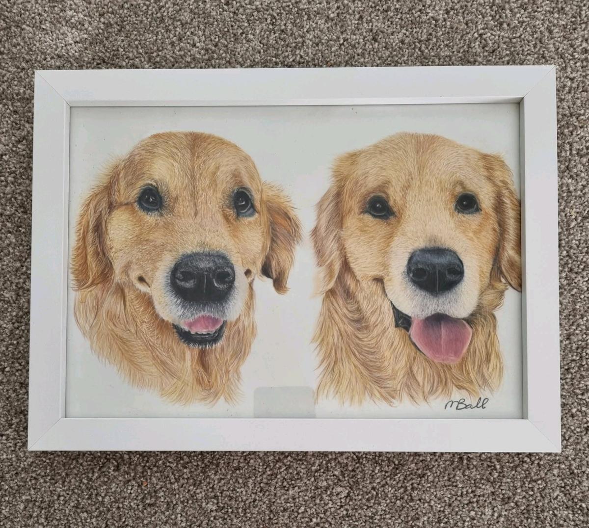custom pets portraits