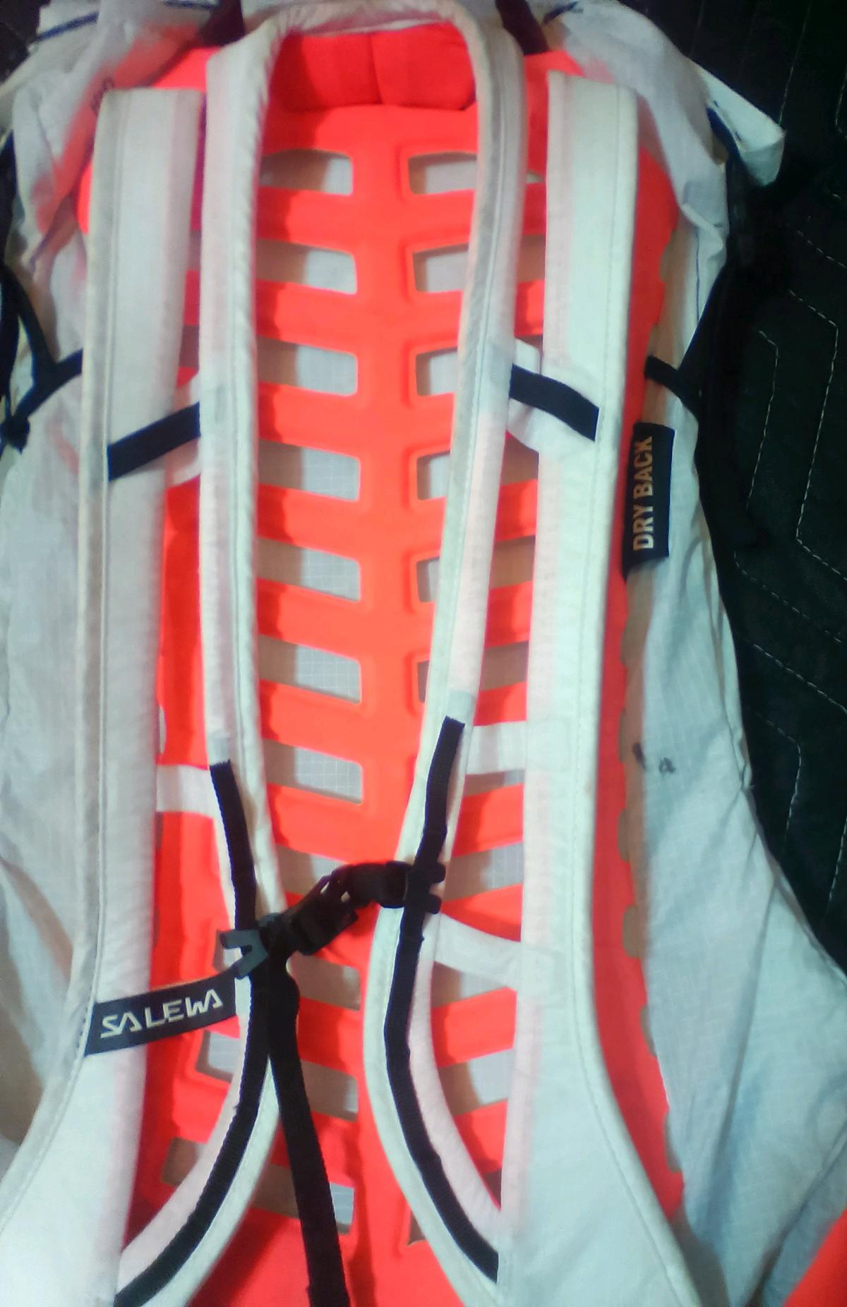 Salewa Pedroc Pro 20L Backpack