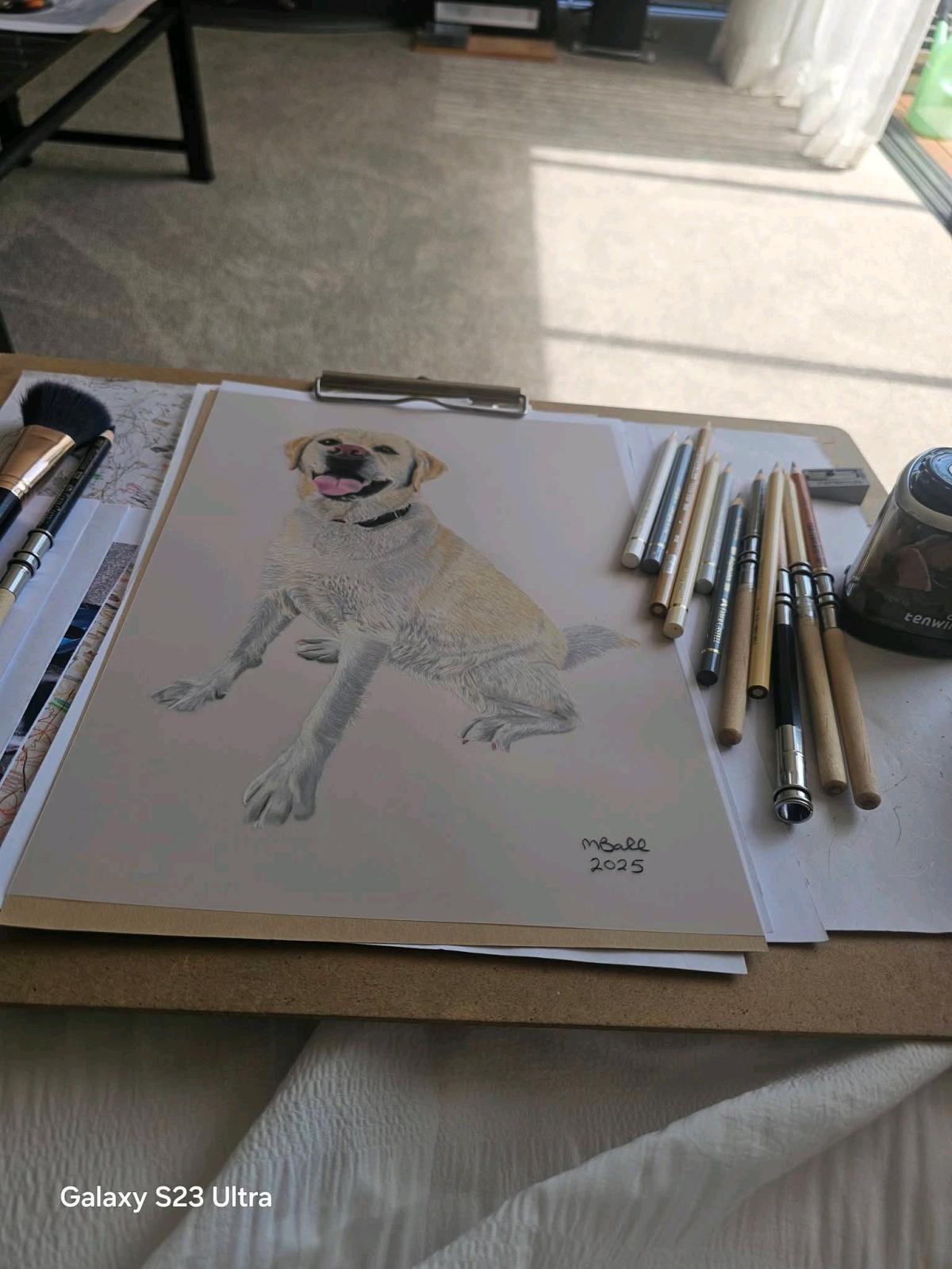 custom pets portraits