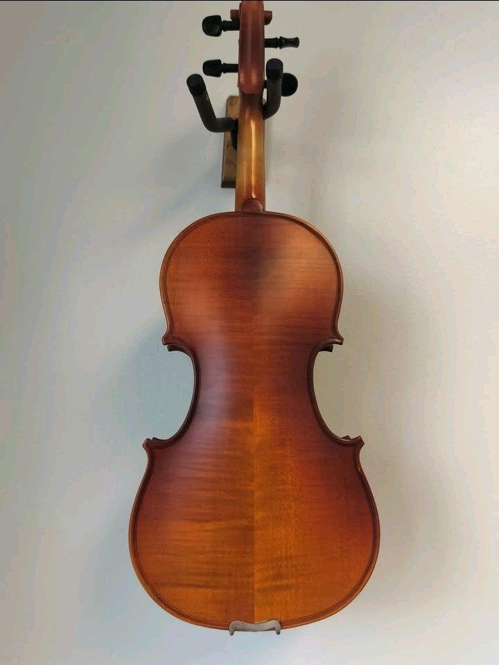 Viola