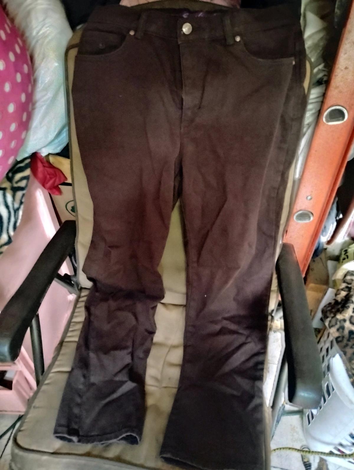 A Nice Pair of Brown Womens Pants