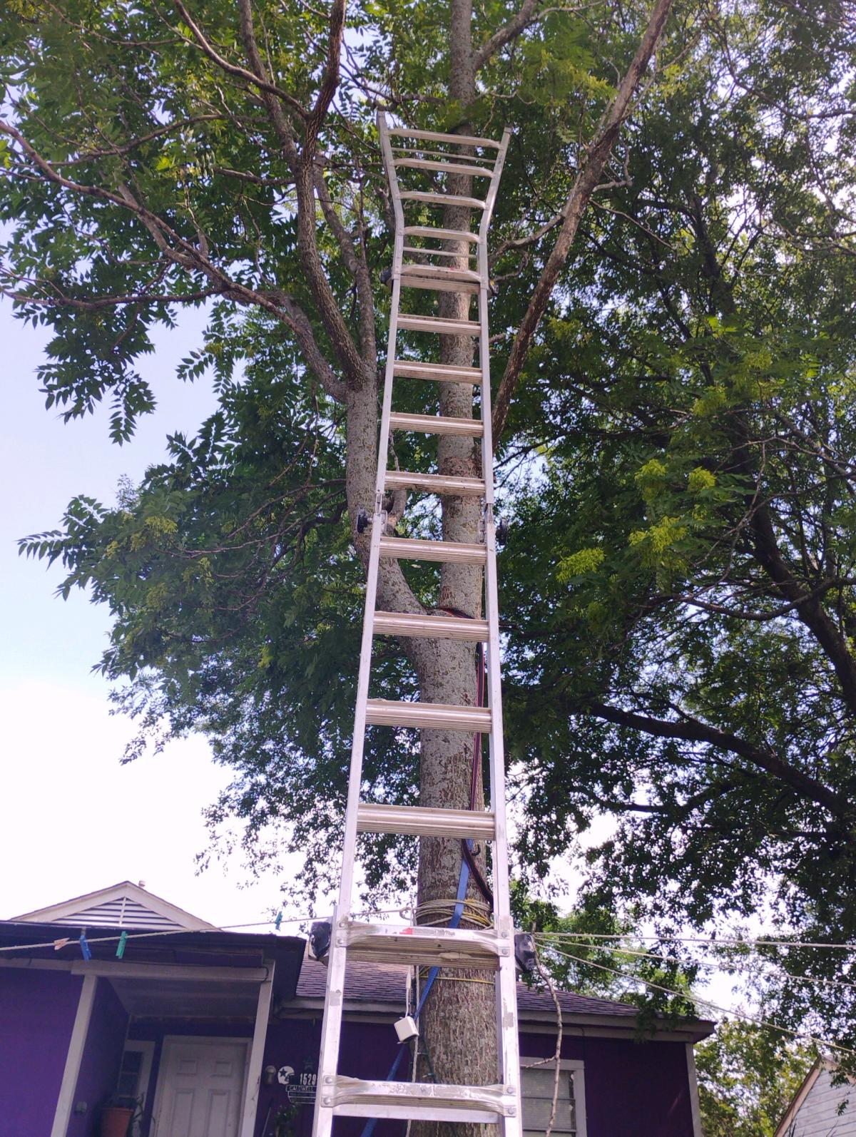 22 ft adjustable ladder