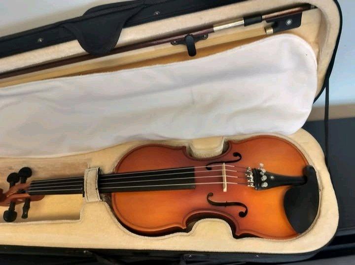Viola