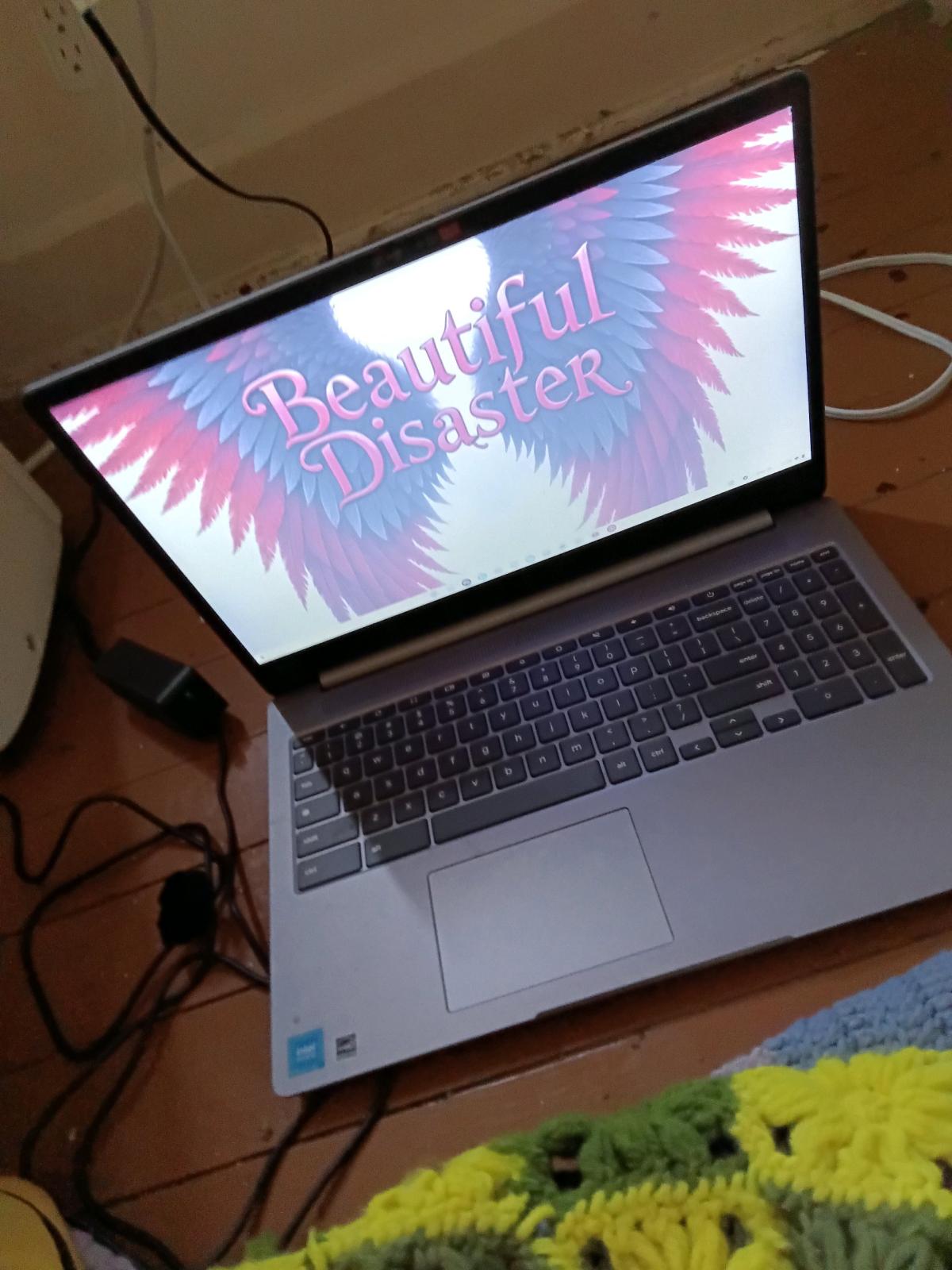 Chromebook 2025 all reset ready to go has charger