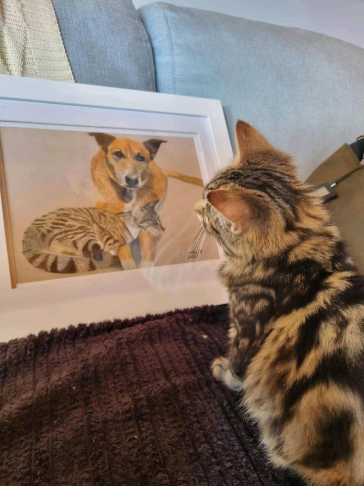 custom pets portraits