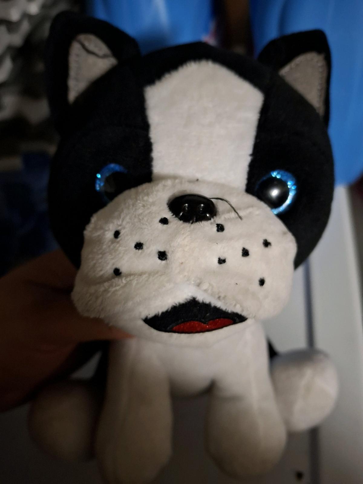 Random Assortment of Plushes and Toys